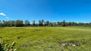 Photo 5: Lot New Albany in New Albany: Annapolis County Vacant Land for sale (Annapolis Valley)  : MLS®# 202219396