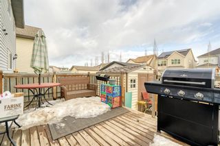 Photo 31: 64 Copperpond Road SE in Calgary: Copperfield Semi Detached (Half Duplex) for sale : MLS®# A2021798