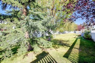 Photo 43: 297 Arbour Cliff Close NW in Calgary: Arbour Lake Semi Detached (Half Duplex) for sale : MLS®# A1255400