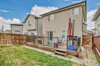 Photo 47: 50 Panamount Plaza NW in Calgary: Panorama Hills Detached for sale : MLS®# A2036118