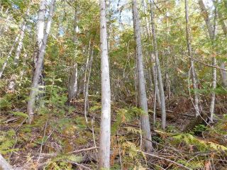 Photo 8: 6 Eagleview Road in Eagle Bay: Vacant Land for sale