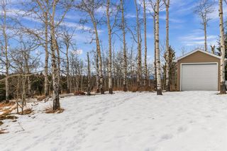 Photo 43: 6 Lineham Crossing in Diamond Valley: A-7662 Detached for sale : MLS®# A2019127