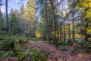 Photo 18: 3203 Clam Bay Rd in Pender Island: GI Pender Island Land for sale (Gulf Islands)  : MLS®# 896407