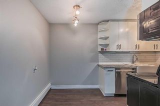 Photo 19: 305 1829 11 Avenue SW in Calgary: Sunalta Apartment for sale : MLS®# A2107449