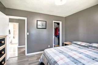 Photo 18: 3905 50A Street: Red Deer Detached for sale : MLS®# A1242931