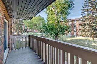 Photo 21: 914 11620 Elbow Drive SW in Calgary: Canyon Meadows Apartment for sale : MLS®# A2003502
