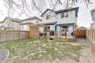 Photo 43: 217 Cranfield Park SE in Calgary: Cranston Detached for sale : MLS®# A1231061