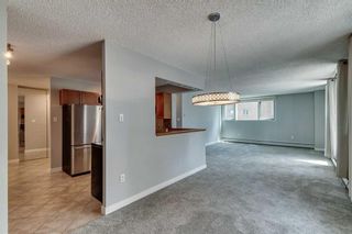 Photo 10: 5D 133 25 Avenue SW in Calgary: Mission Apartment for sale : MLS®# A2068257