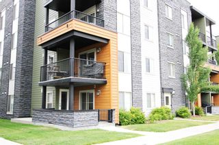 Main Photo: 2201 1317 27 Street SE in Calgary: Albert Park/Radisson Heights Apartment for sale : MLS®# A2059283