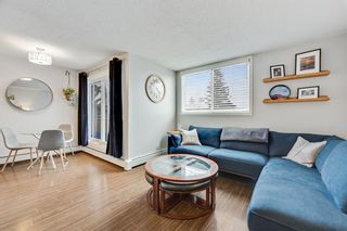 Photo 9: 301 4619 73 Street NW in Calgary: Bowness Apartment for sale : MLS®# A2035068