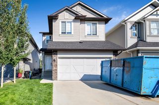 Photo 46: 161 Chaparral Valley Mews SE in Calgary: Chaparral Detached for sale : MLS®# A2000340