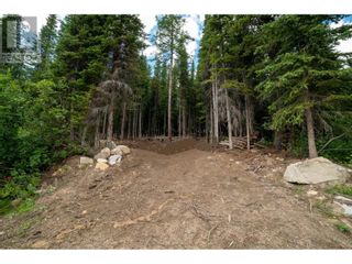 Photo 3: 145 COUGAR Road in Oliver: Vacant Land for sale : MLS®# 200537