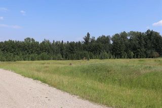 Photo 3: 2 53018 Range Road 175 in Rural Yellowhead County: Rural Yellowhead Residential Land for sale : MLS®# A2067593