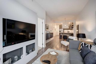 Photo 7: 5 88 9 Street NE in Calgary: Bridgeland/Riverside Apartment for sale : MLS®# A2090224