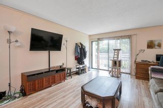 Photo 6: 118 585 S Dogwood St in Campbell River: CR Campbell River Central Condo for sale : MLS®# 879212