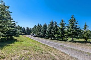 Photo 2: 184047 254 Avenue W: Rural Foothills County Detached for sale : MLS®# A1252658