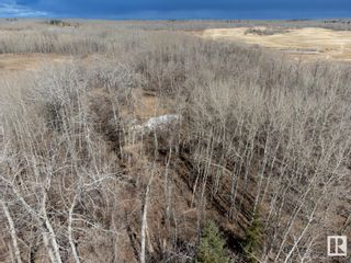 Photo 13: 23246 TWP  RD 521A: Rural Strathcona County Vacant Lot/Land for sale : MLS®# E4363356