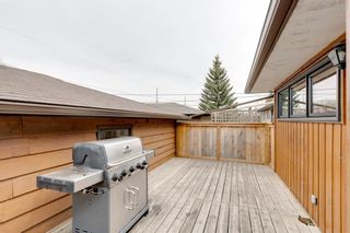 Photo 44: 4216 5 Avenue SW in Calgary: Wildwood Detached for sale : MLS®# A1208555