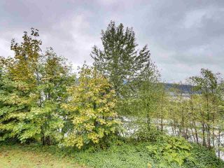 Photo 13: 1398 UNION Street in Port Moody: College Park PM House for sale : MLS®# R2551153