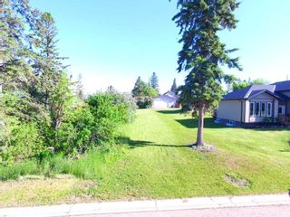 Photo 3: 2024 17 Avenue: Bowden Residential Land for sale : MLS®# A2071344