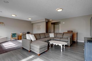 Photo 42: 119 Chaparral Valley Way SE in Calgary: Chaparral Detached for sale : MLS®# A1226880