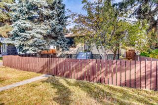 Main Photo: 1408 43 Street SW in Calgary: Rosscarrock Detached for sale : MLS®# A1042687