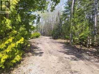 Photo 25: N/A Tobacco Lake Rd N in Gore Bay: Vacant Land for sale : MLS®# 2110842