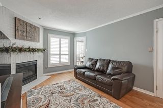 Photo 14: 30 CULOTTA Drive in Waterdown: House for sale : MLS®# H4191626
