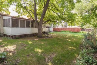 Photo 5: 394 Lynbrook Drive in Winnipeg: Charleswood Residential for sale (1G)  : MLS®# 202319308