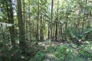 Photo 6: Lot 127 Vickers Trail: Land Only for sale : MLS®# 10071267