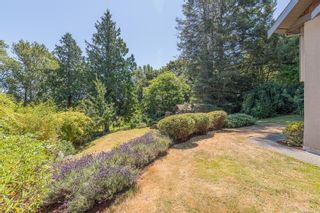 Photo 27: 3953 Locarno Lane in Saanich: SE Arbutus House for sale (Saanich East)  : MLS®# 911019