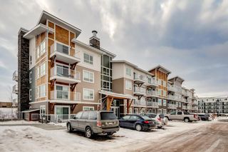 Photo 1: 7312 302 SKYVIEW RANCH Drive NE in Calgary: Skyview Ranch Apartment for sale : MLS®# C4186747