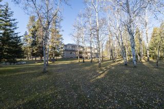 Photo 44: 17 Pears Road in Rural Bighorn No. 8, M.D. of: Rural Bighorn M.D. Detached for sale : MLS®# A2005749