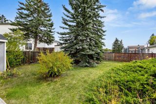 Photo 39: 339 Whitefield Drive NE in Calgary: Whitehorn Detached for sale : MLS®# A2083830