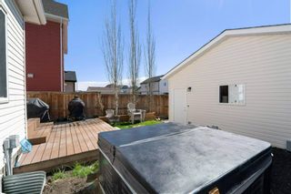 Photo 43: 210 Copperpond Boulevard SE in Calgary: Copperfield Detached for sale : MLS®# A1217839