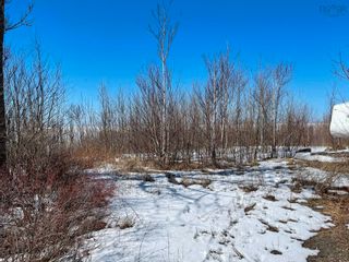 Photo 7: 50 Northumberland Lane in Georgeville: 302-Antigonish County Vacant Land for sale (Highland Region)  : MLS®# 202304562