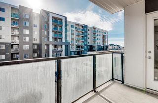 Photo 42: 1203 4641 128 Avenue NE in Calgary: Skyview Ranch Apartment for sale : MLS®# A2025846