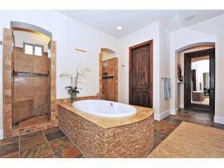 Photo 15: SAN DIEGO House for sale : 5 bedrooms : 15476 Artesian Spring Road