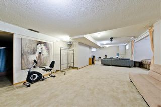 Photo 26: 388 Hawkland Circle NW in Calgary: Hawkwood Detached for sale : MLS®# A2034492