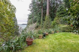 Photo 6: 6170 EASTMONT Drive in West Vancouver: Gleneagles Land for sale in "GLENEAGLES" : MLS®# R2581787