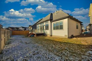 Photo 42: 239 Coopers Cove SW: Airdrie Detached for sale : MLS®# A2094419