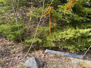 Photo 8: Lot 14 Lakeside Drive in Little Harbour: 108-Rural Pictou County Vacant Land for sale (Northern Region)  : MLS®# 202125547
