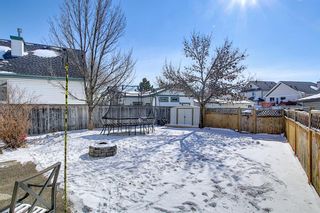 Photo 34: 23 Prestwick Green SE in Calgary: McKenzie Towne Detached for sale : MLS®# A1088361