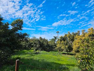 Main Photo: Property for sale: Fairview (2.05ac) in Bonsall