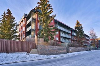 Photo 21: 207 335 Garry Crescent NE in Calgary: Greenview Apartment for sale : MLS®# A2010444