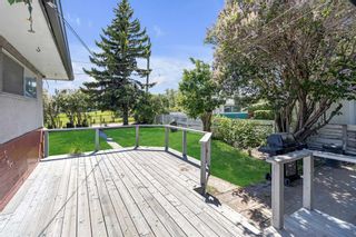 Photo 16: 2 Trafford Crescent NW in Calgary: Thorncliffe Detached for sale : MLS®# A2144261