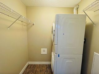 Photo 13: 204 7210 80 Avenue NE in Calgary: Saddle Ridge Apartment for sale : MLS®# A2096267