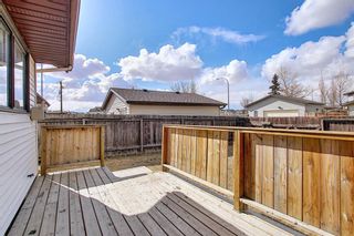 Photo 33: 2166 Summerfield Boulevard SE: Airdrie Detached for sale : MLS®# A1094543