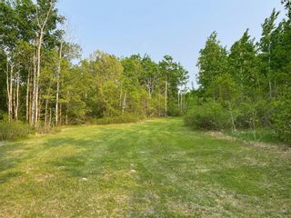 Photo 6: 1 24 Road in Rosa: Vacant Land for sale : MLS®# 202314480