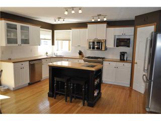 Photo 5: 111 CANOE Drive SW: Airdrie Residential Detached Single Family for sale : MLS®# C3566791